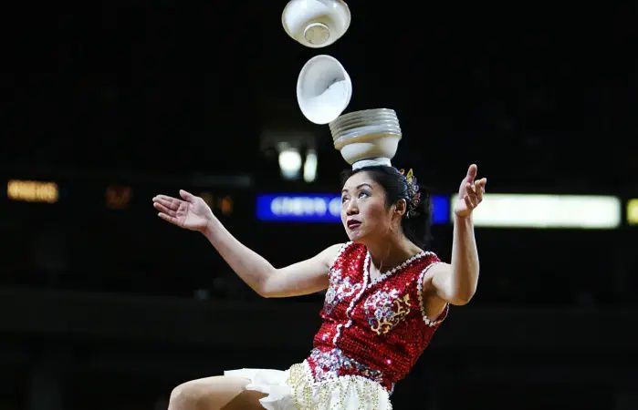 Book Red Panda Acrobat – Unique Circus Act
